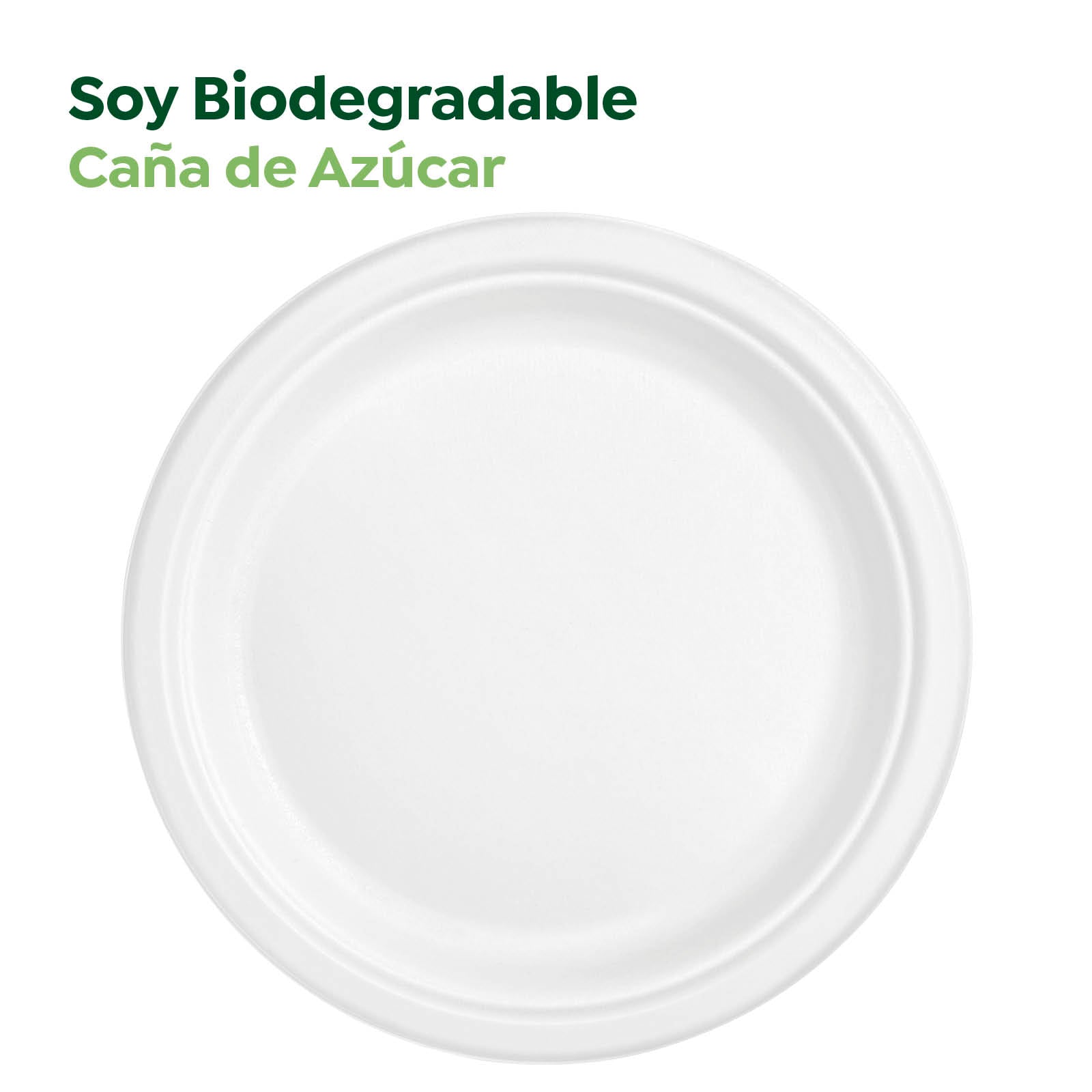 Plato Caña de Azúcar Llano Redondo Ø30 cm Blanco 25 uds
