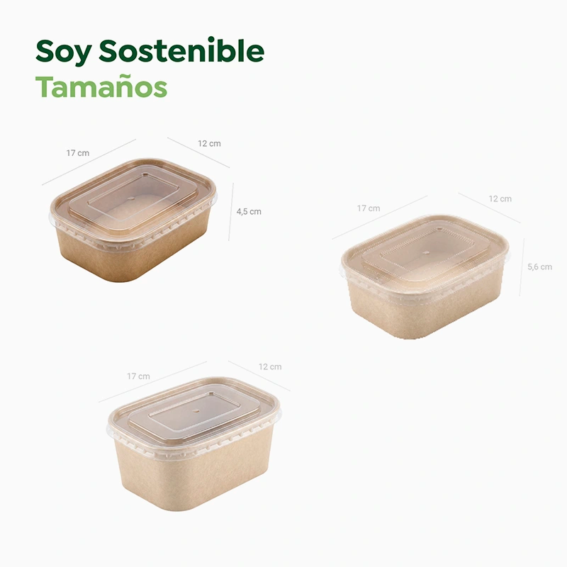 Envase Rectangular Cartón Kraft 500 cc con Tapa Plástico PP Transparente (25 uds)