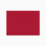 Mantel TNT Individual 30 x 40 cm Rojo