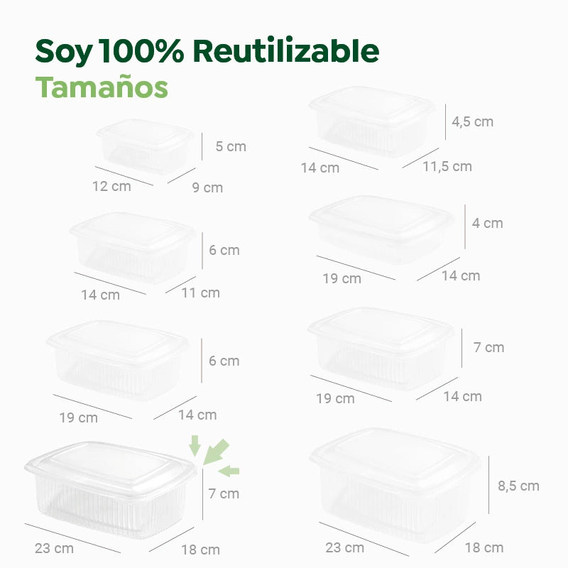 Envase Rectangular Plástico PP Reutilizable Tapa Bisagra 1500 cc Transparente (250 uds)