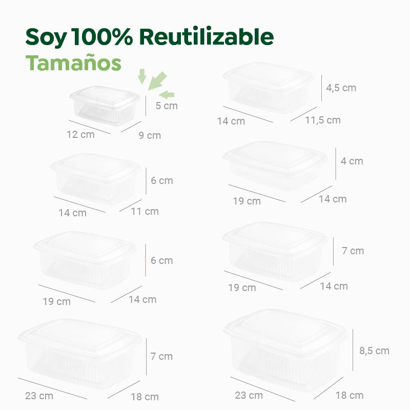 Envase Rectangular Plástico PP Reutilizable Tapa Bisagra 250 cc Transparente  (50 uds)