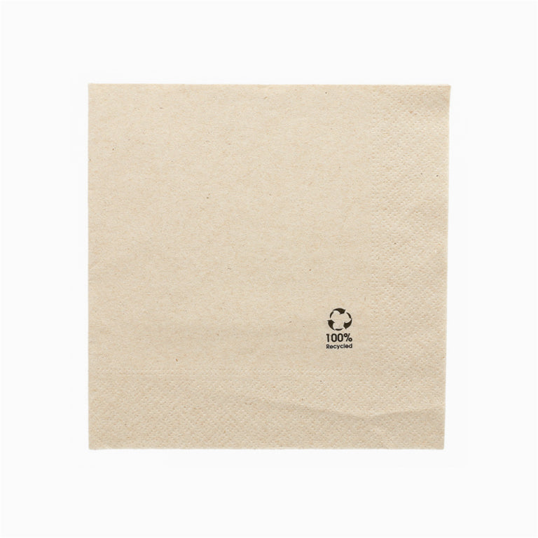 Servilletas Recicladas Doble Capa