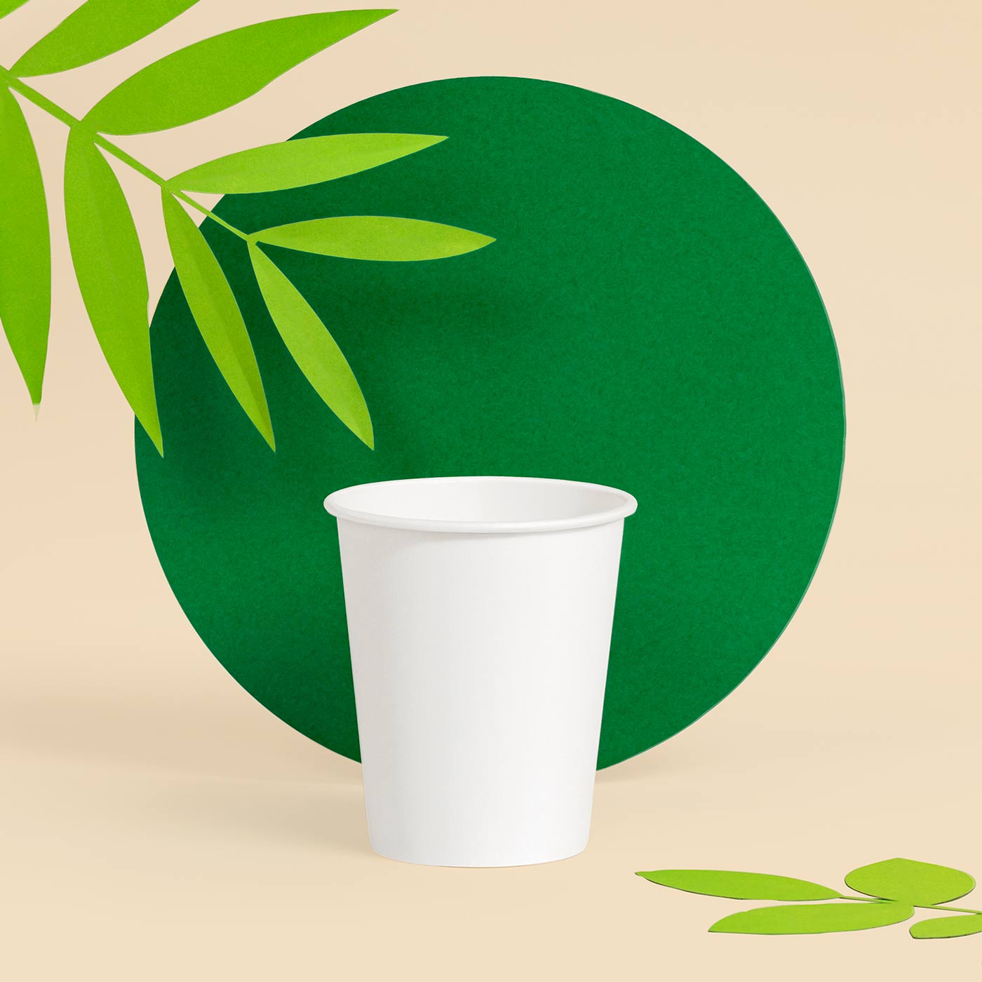 Vaso Biodegradable Cartón 250 cc Blanco Take Away 50 uds